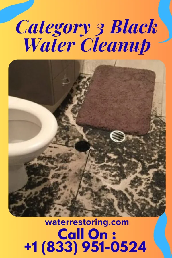 Category 3 Black Water Cleanup in Humansville, MO
