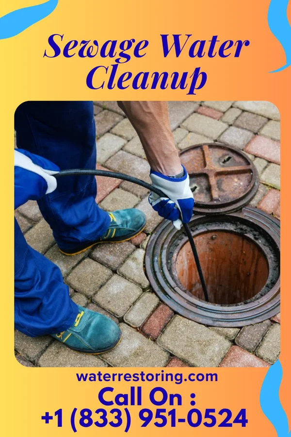 Sewage Water Cleanup in Humansville, MO